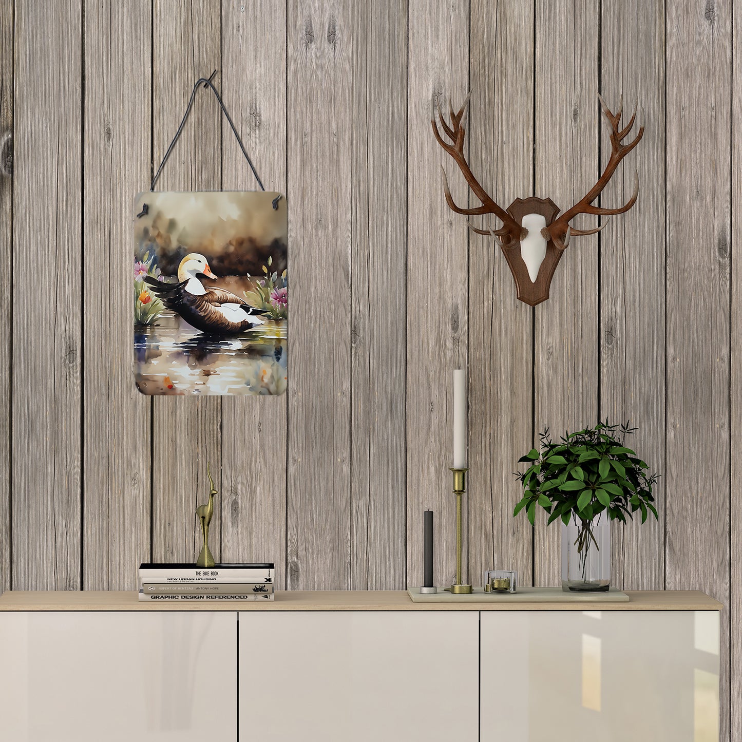 Common Eider Duck Wall or Door Hanging Prints