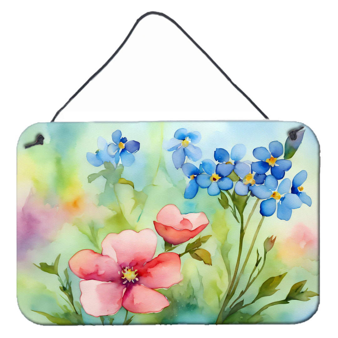 Buy this Alaska Forget-me-nots in Watercolor Wall or Door Hanging Prints