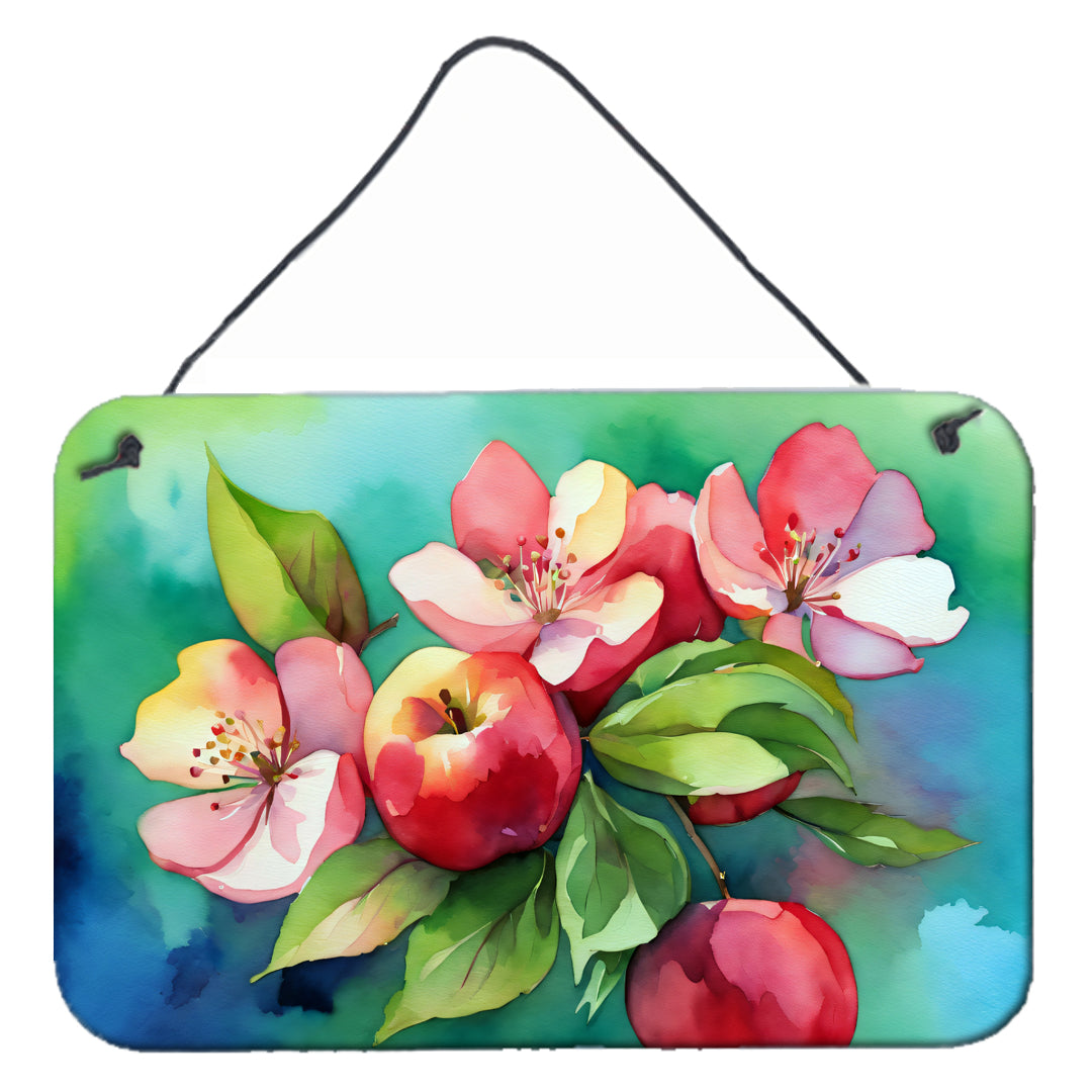 Buy this Arkansas Apple Blossom in Watercolor Wall or Door Hanging Prints