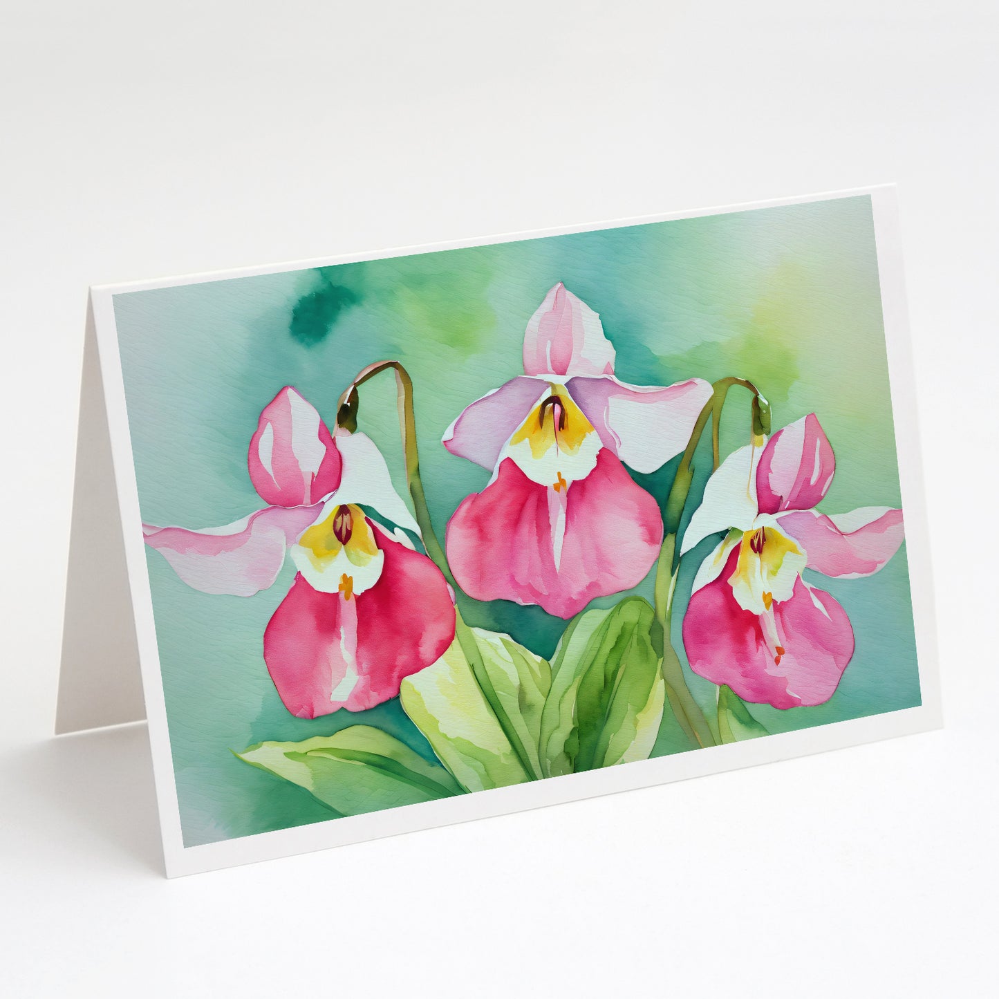 Buy this Minnesota Pink and White Lady�s Slippers in Watercolor Greeting Cards Pack of 8