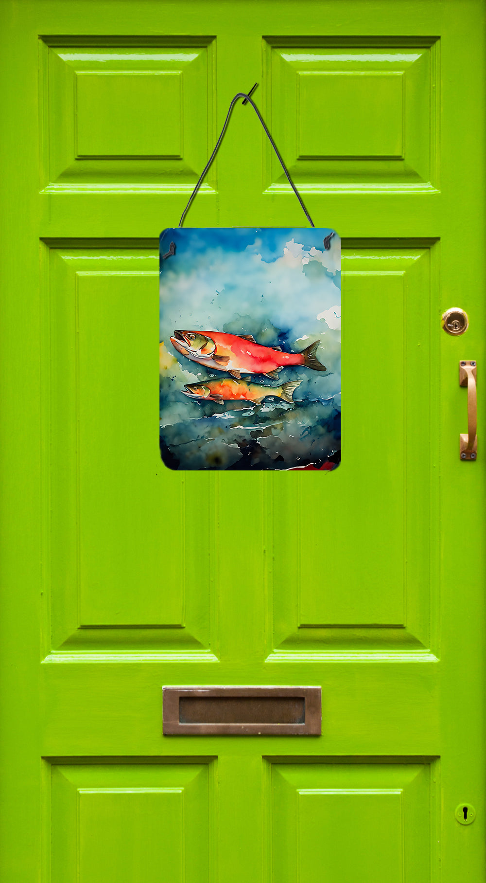 Salmon Wall or Door Hanging Prints