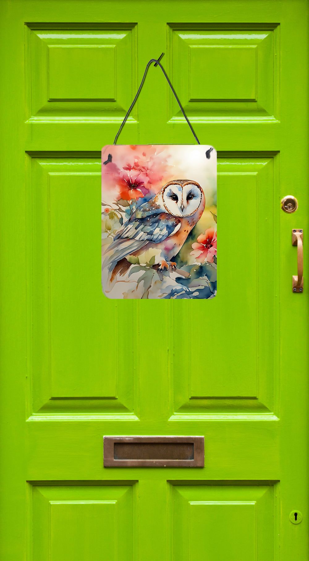 Barn Owl Wall or Door Hanging Prints