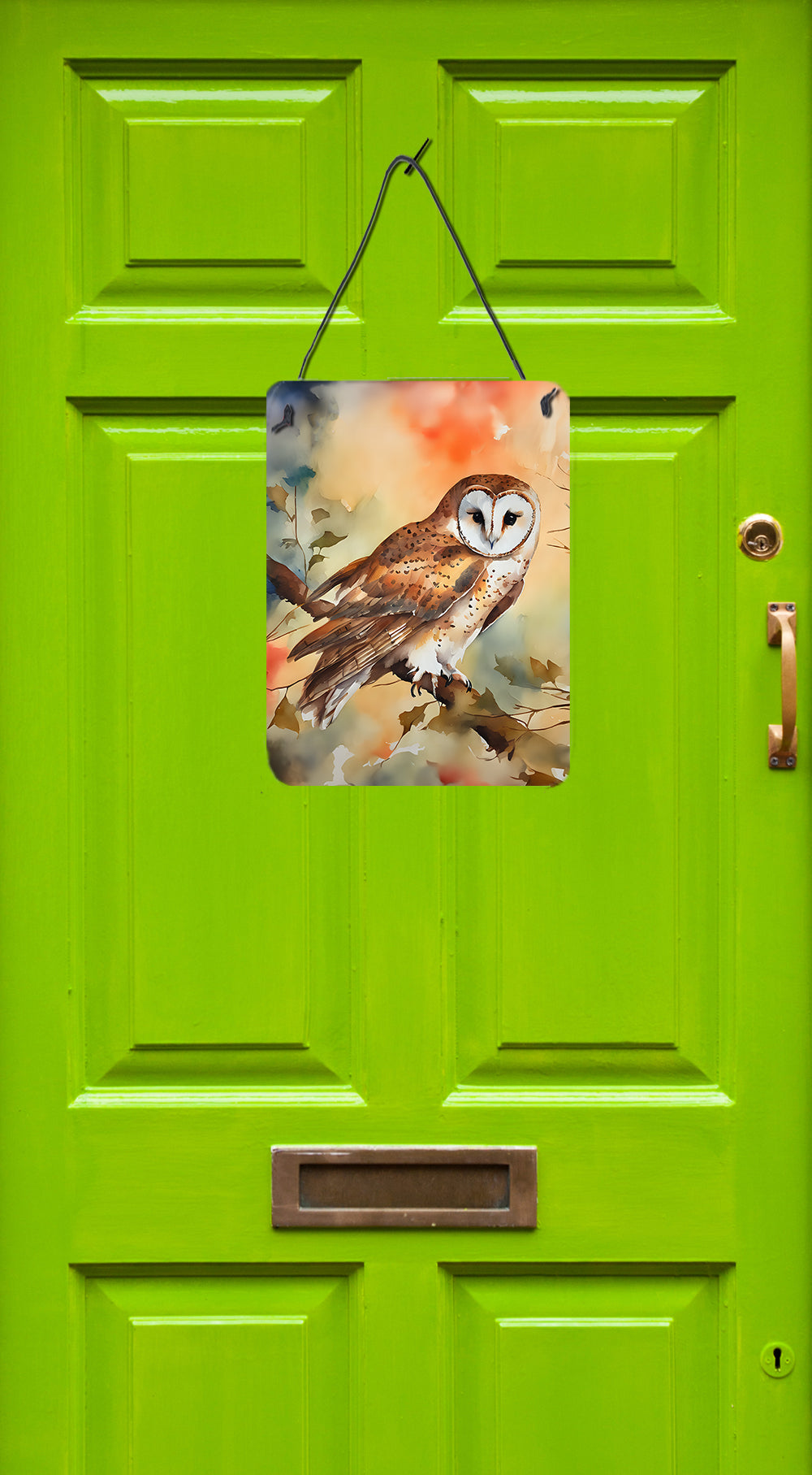 Barn Owl Wall or Door Hanging Prints