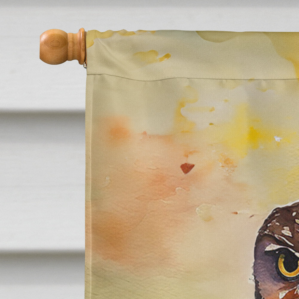 Burrowing Owl House Flag