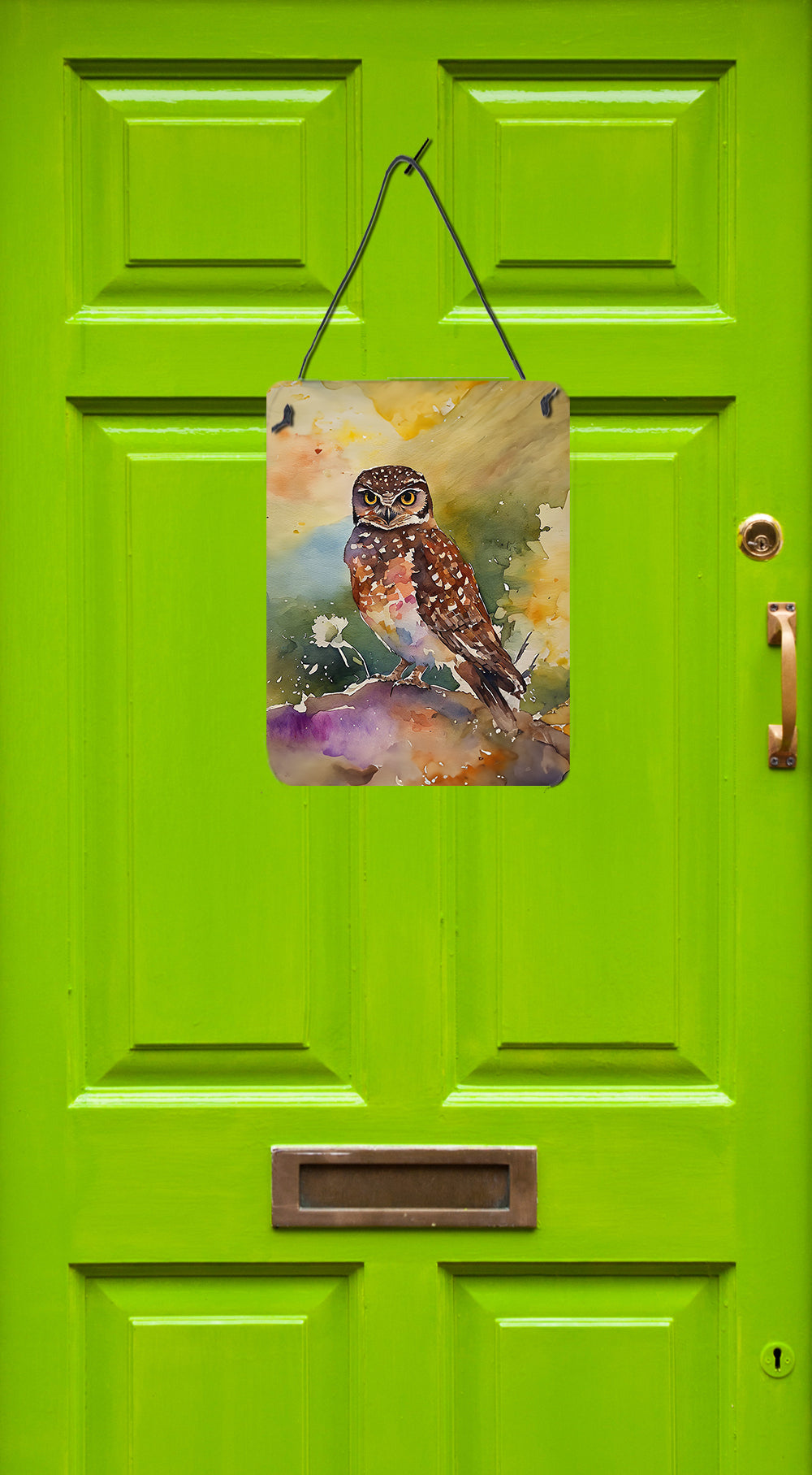 Burrowing Owl Wall or Door Hanging Prints