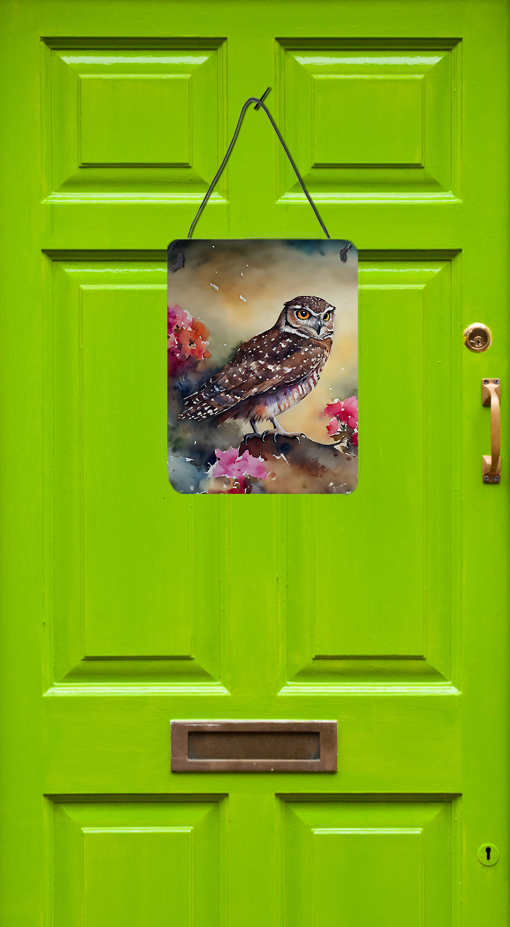 Burrowing Owl Wall or Door Hanging Prints