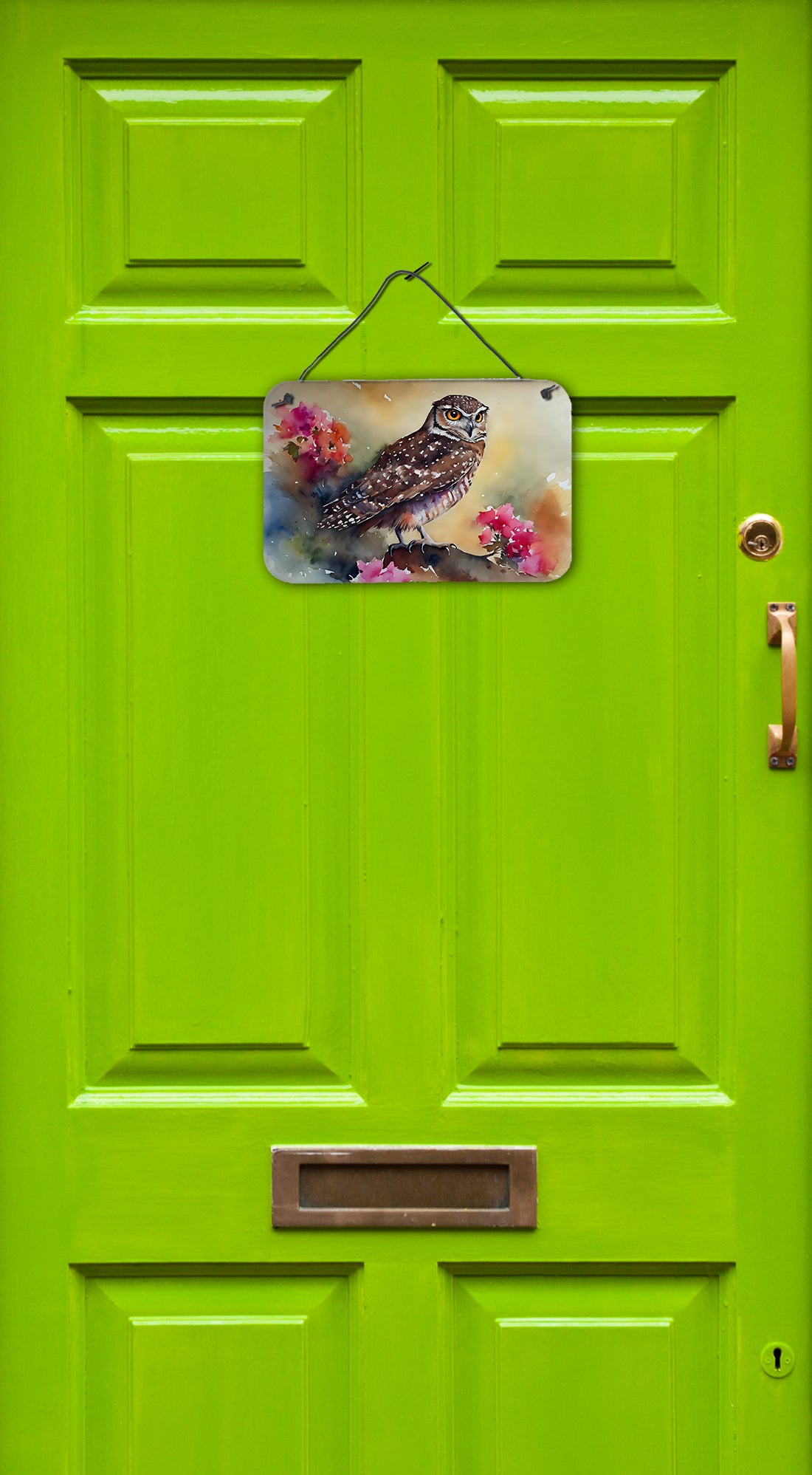 Burrowing Owl Wall or Door Hanging Prints