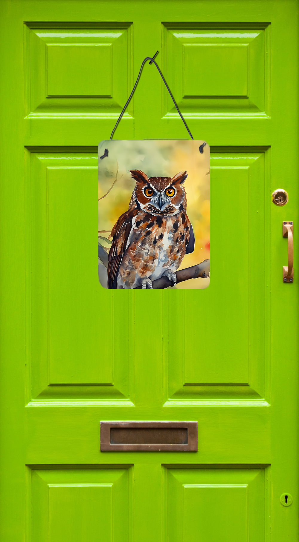 Eastern Screech Owl Wall or Door Hanging Prints