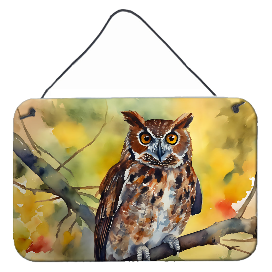 Buy this Eastern Screech Owl Wall or Door Hanging Prints