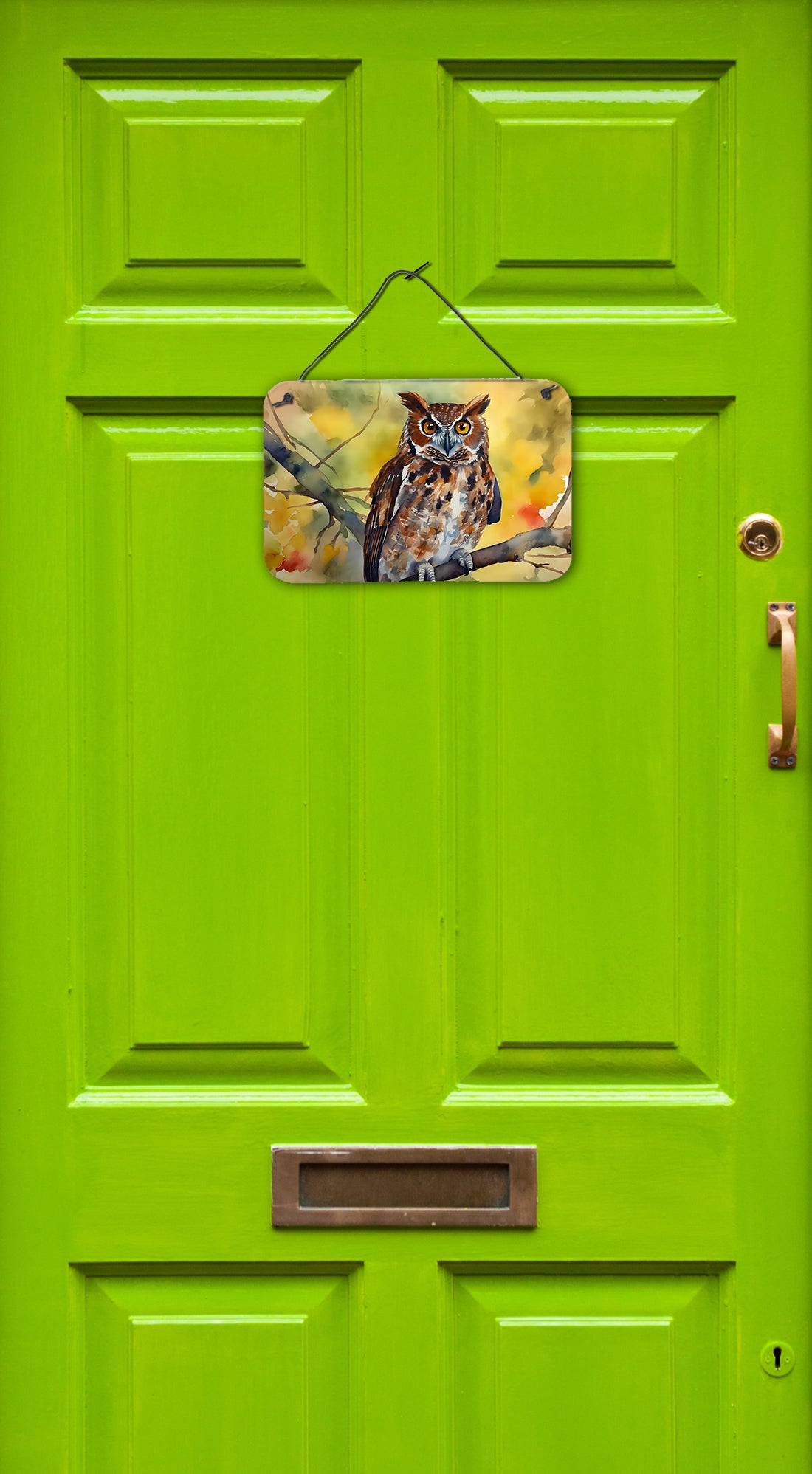 Eastern Screech Owl Wall or Door Hanging Prints