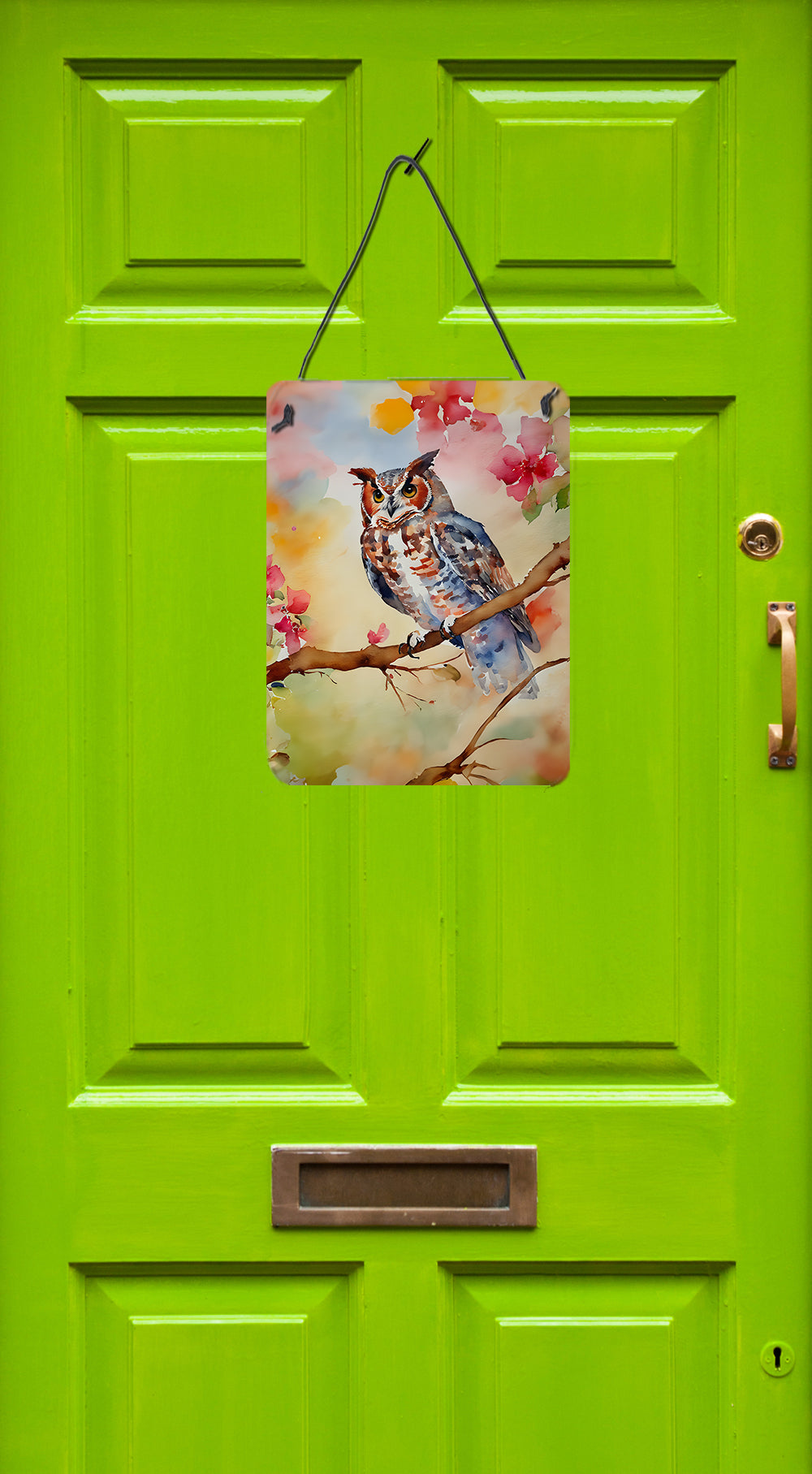 Eastern Screech Owl Wall or Door Hanging Prints