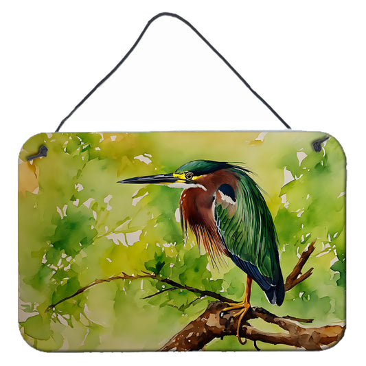 Buy this Green Heron Wall or Door Hanging Prints