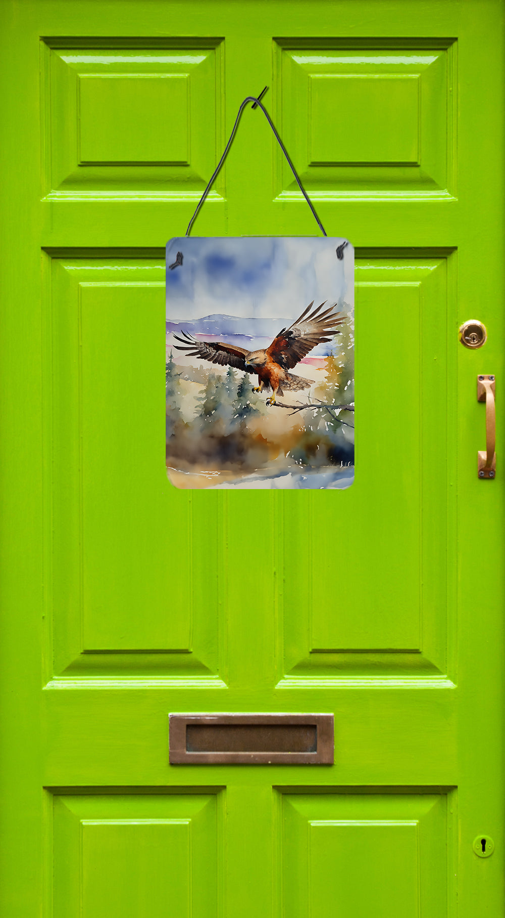 Hawk Wall or Door Hanging Prints