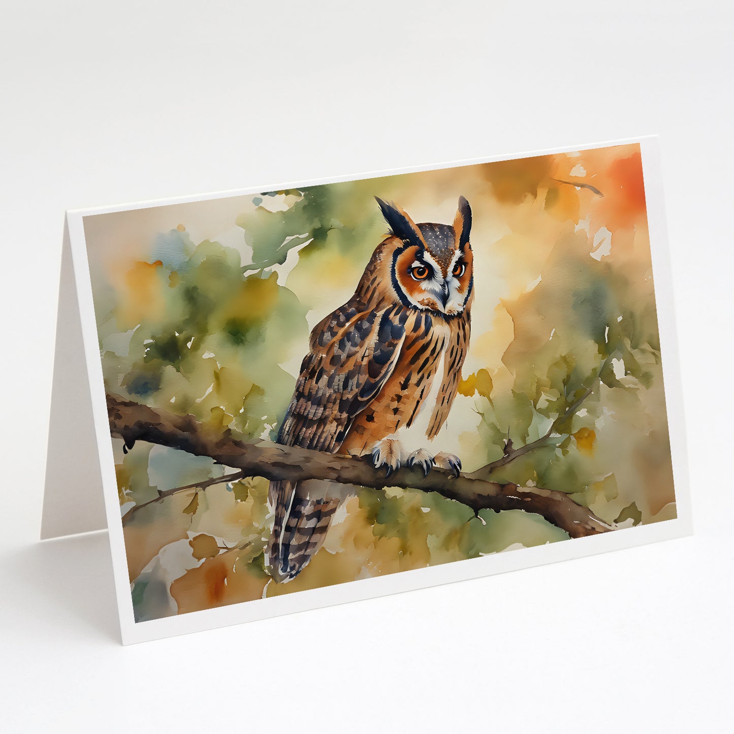 Buy this Long-Eared Owl Greeting Cards Pack of 8