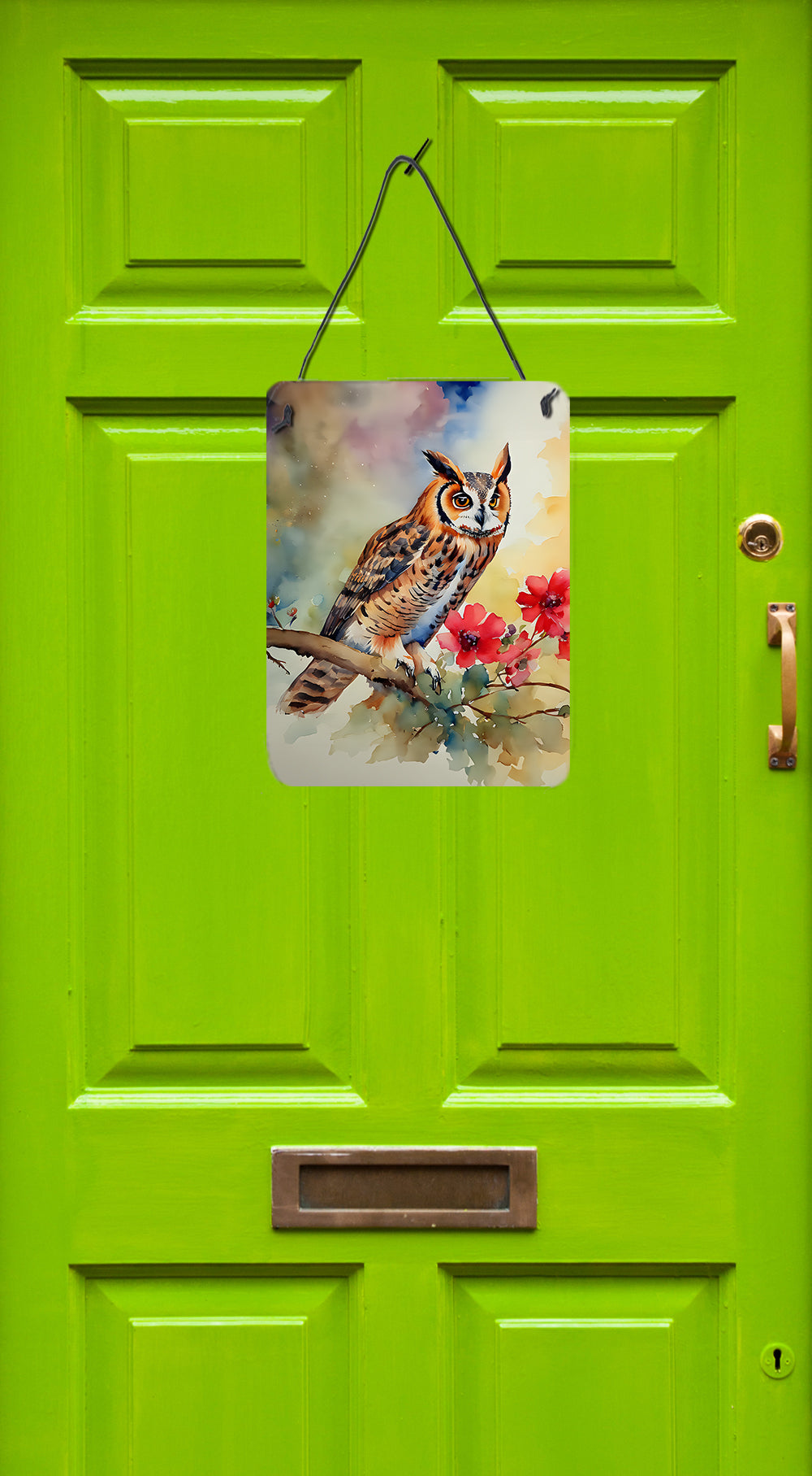 Long-Eared Owl Wall or Door Hanging Prints