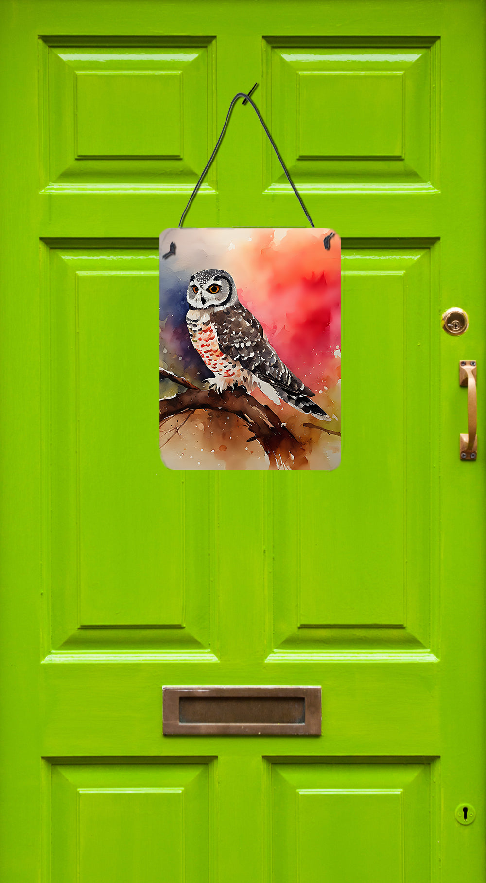 Northern Hawk Owl Wall or Door Hanging Prints