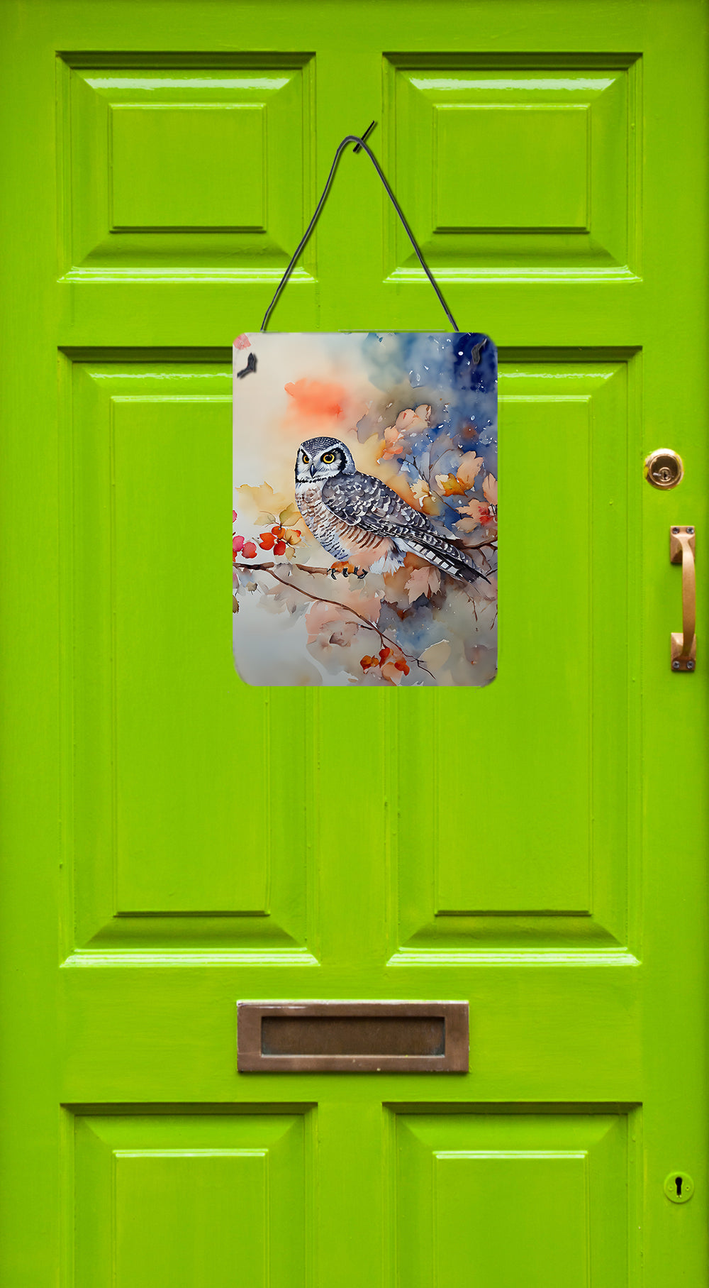 Northern Hawk Owl Wall or Door Hanging Prints