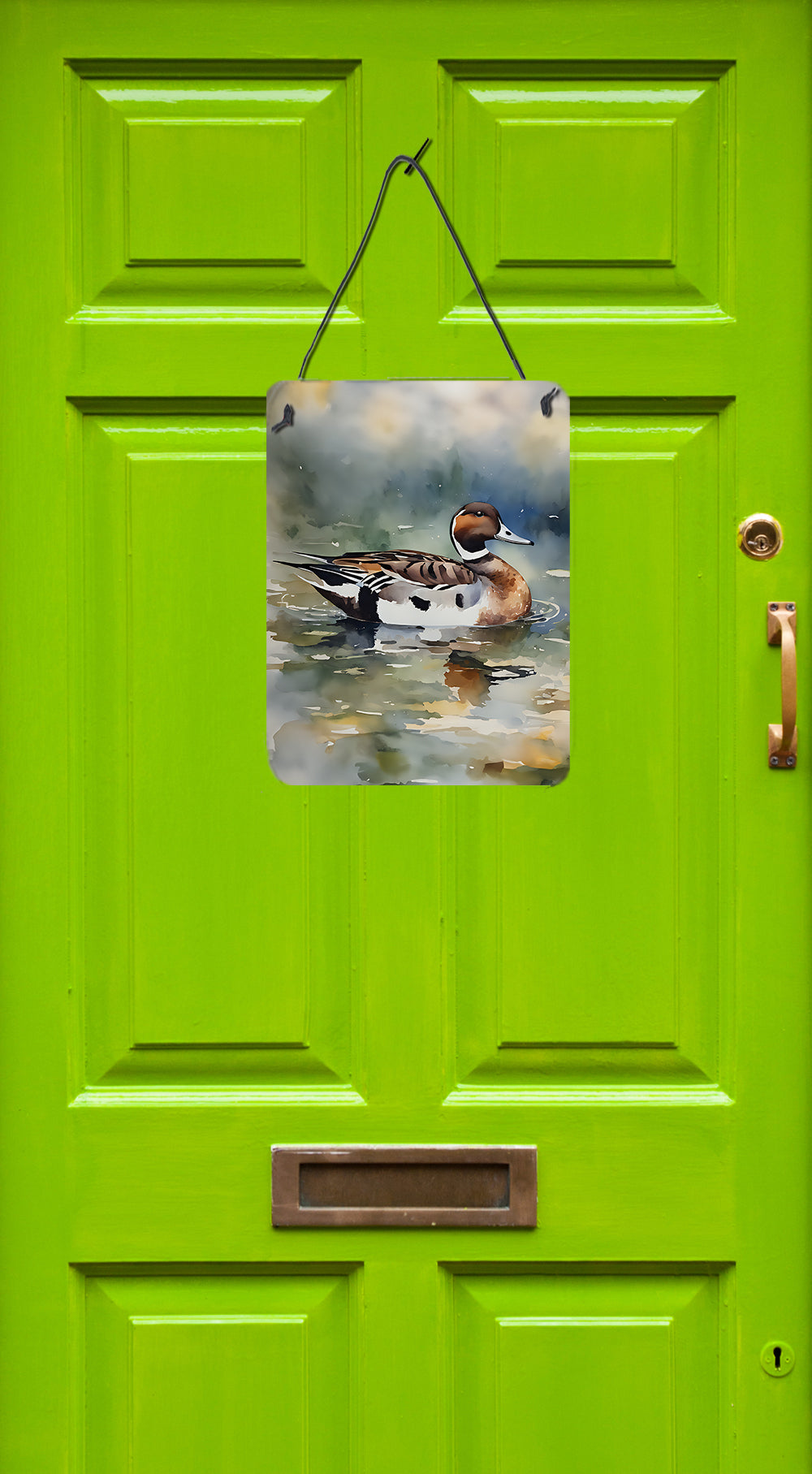 Northern Pintail Wall or Door Hanging Prints