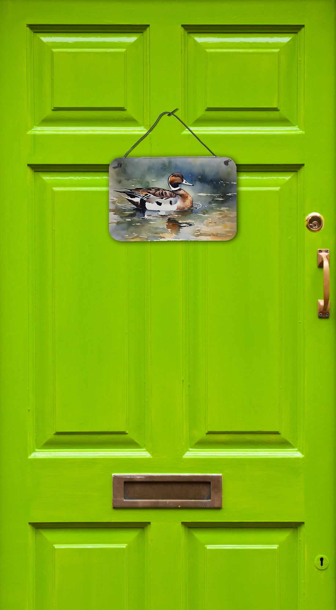 Northern Pintail Wall or Door Hanging Prints