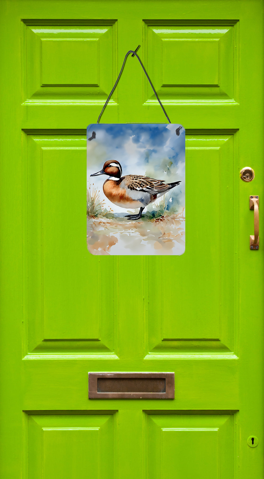 Northern Pintail Wall or Door Hanging Prints
