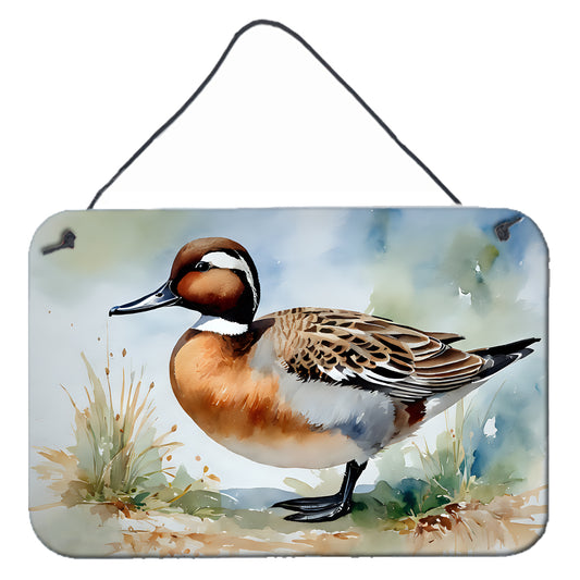 Buy this Northern Pintail Wall or Door Hanging Prints