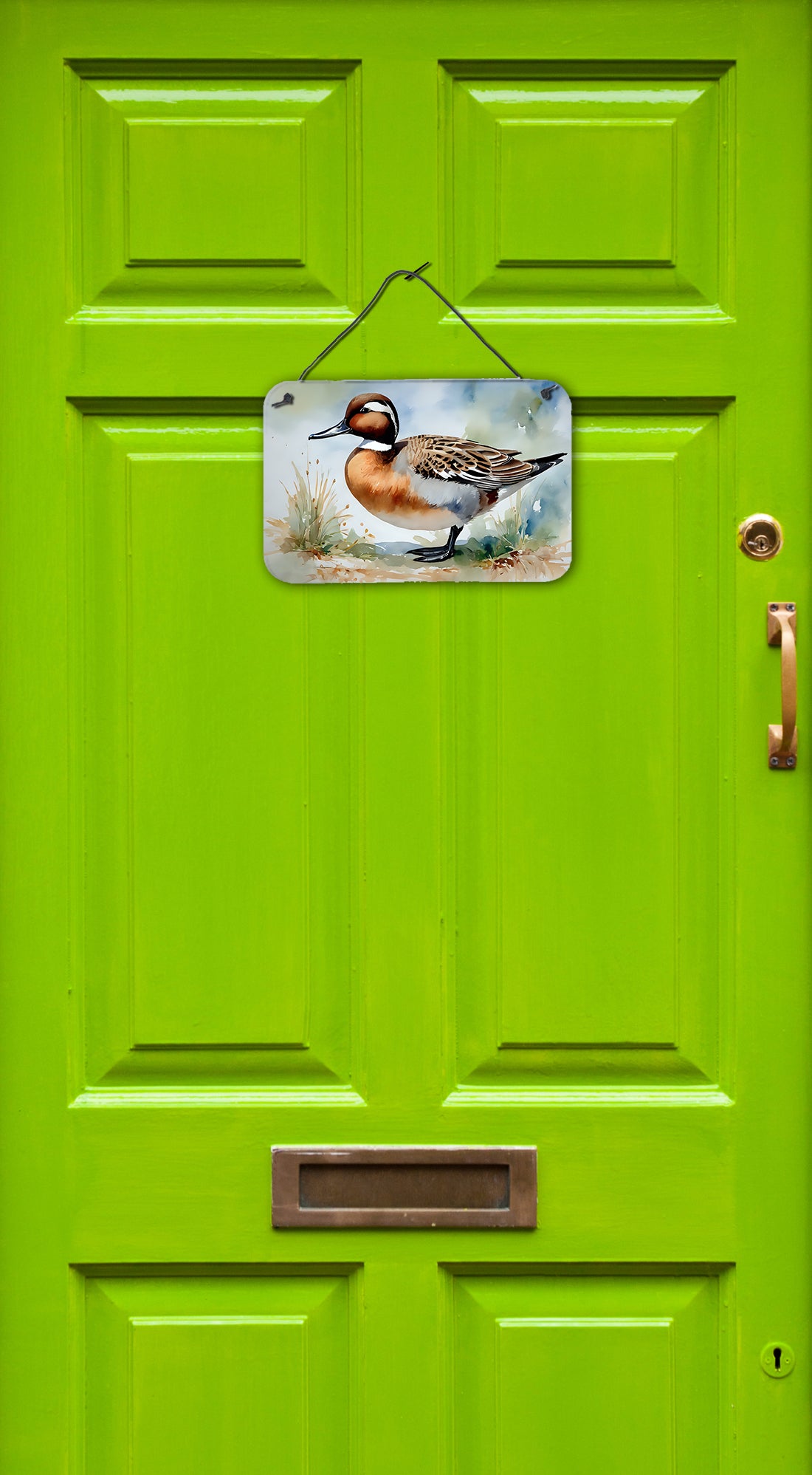 Northern Pintail Wall or Door Hanging Prints