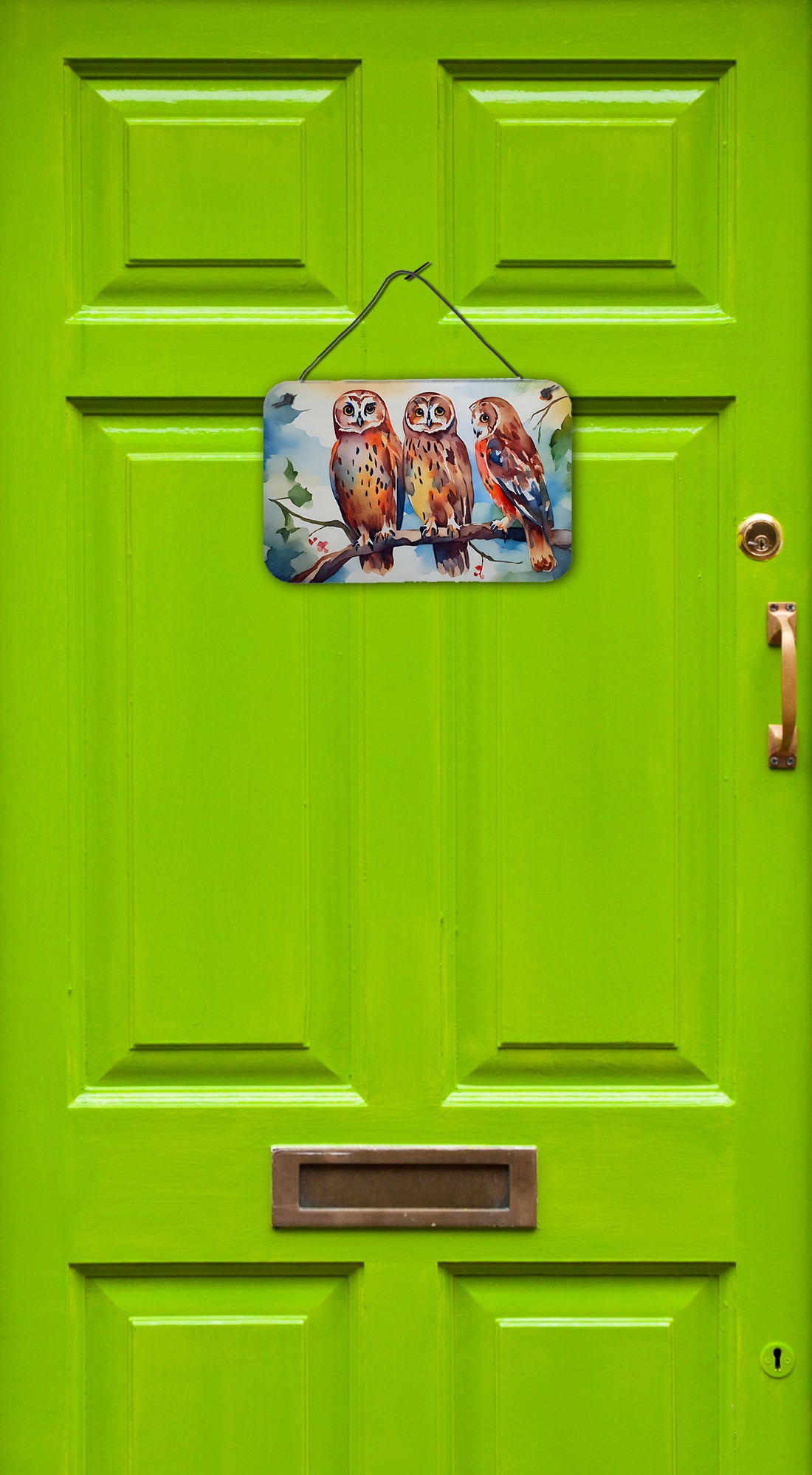 Owls Wall or Door Hanging Prints