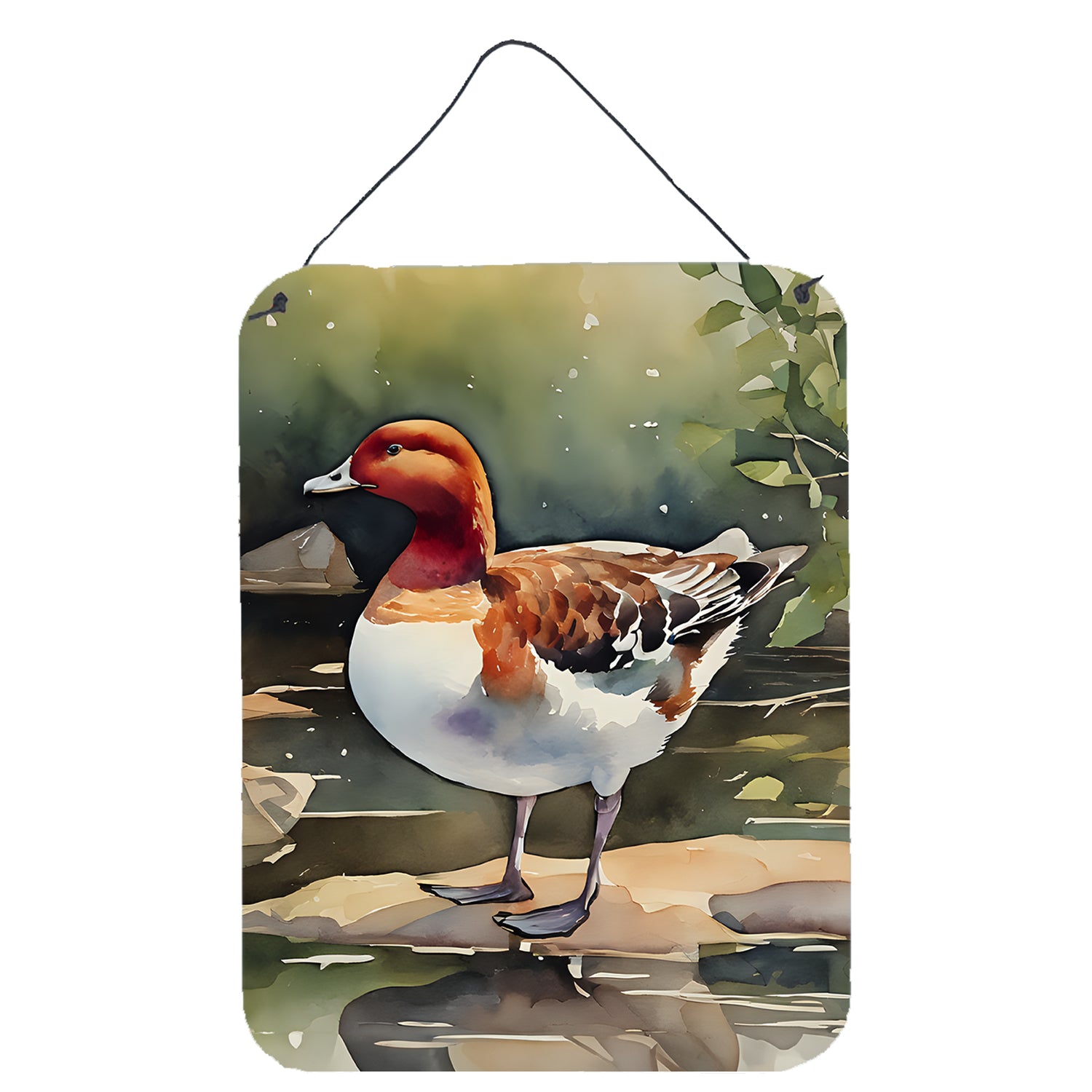 Buy this Redhead Duck Wall or Door Hanging Prints