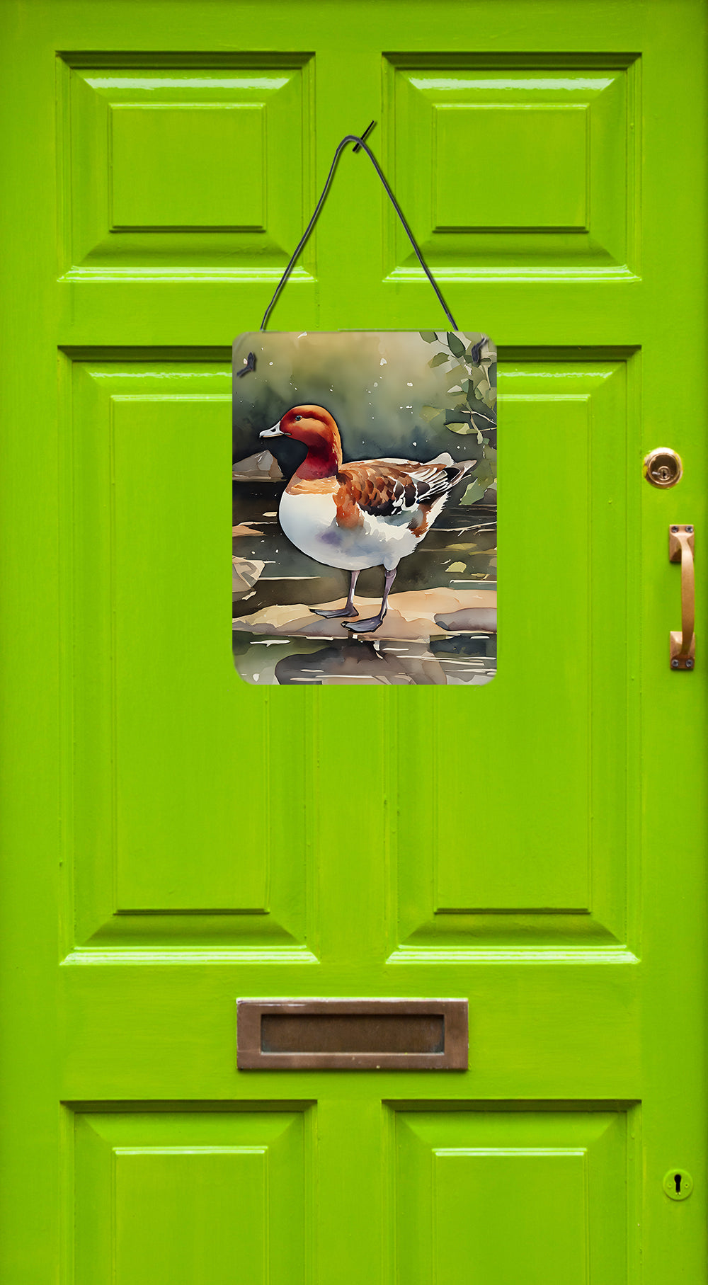 Redhead Duck Wall or Door Hanging Prints