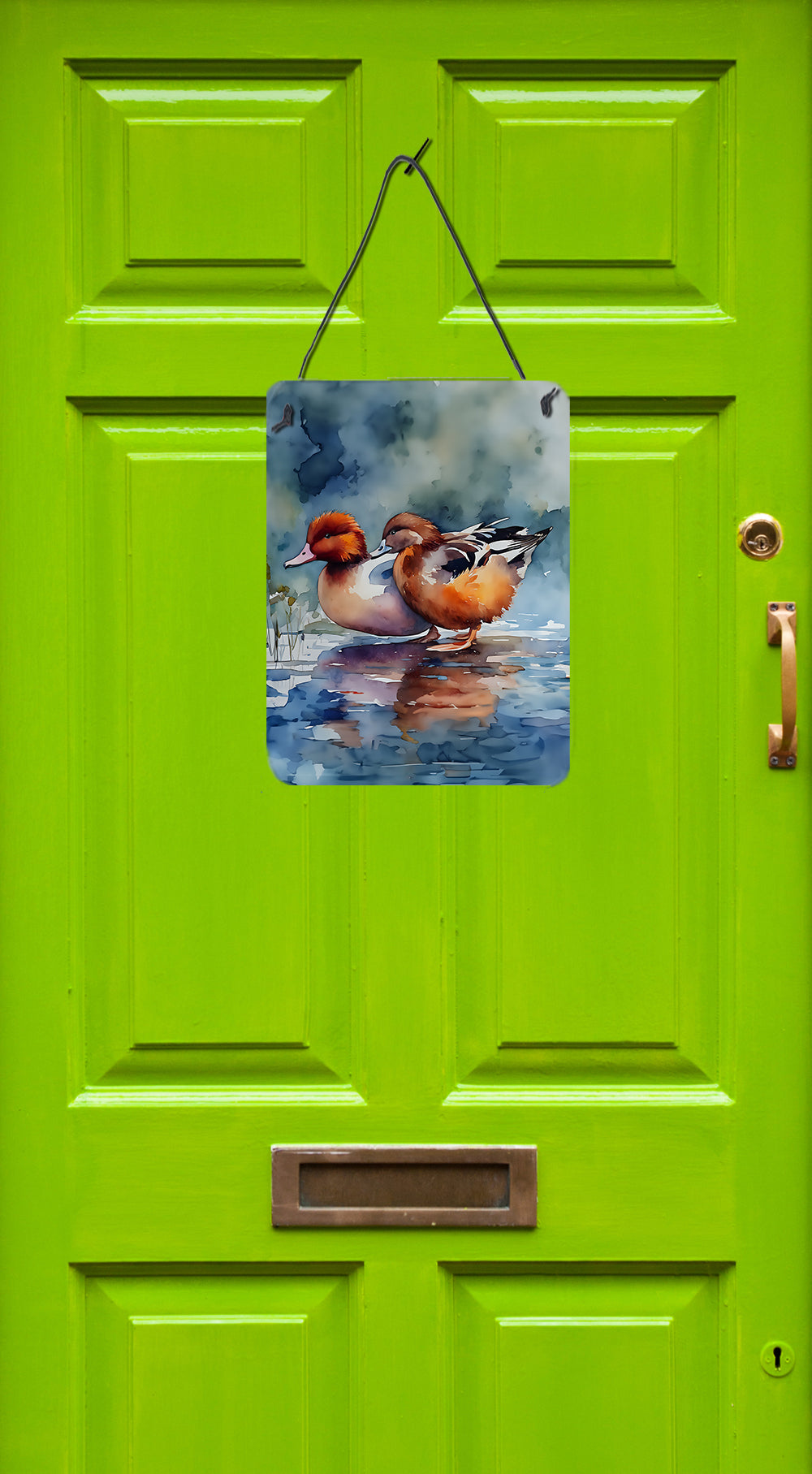 Redhead Duck Wall or Door Hanging Prints