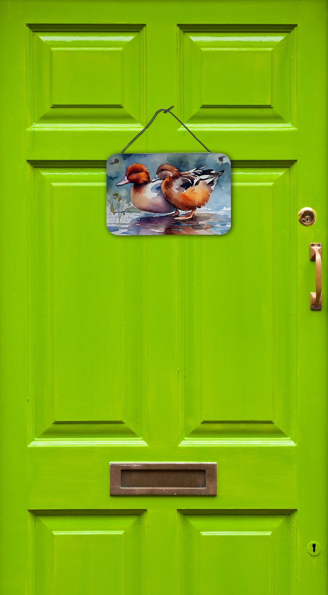 Redhead Duck Wall or Door Hanging Prints