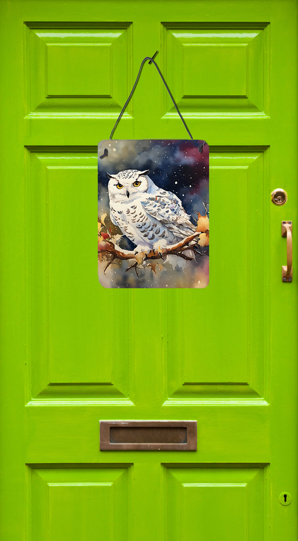 Snowy Owl Wall or Door Hanging Prints