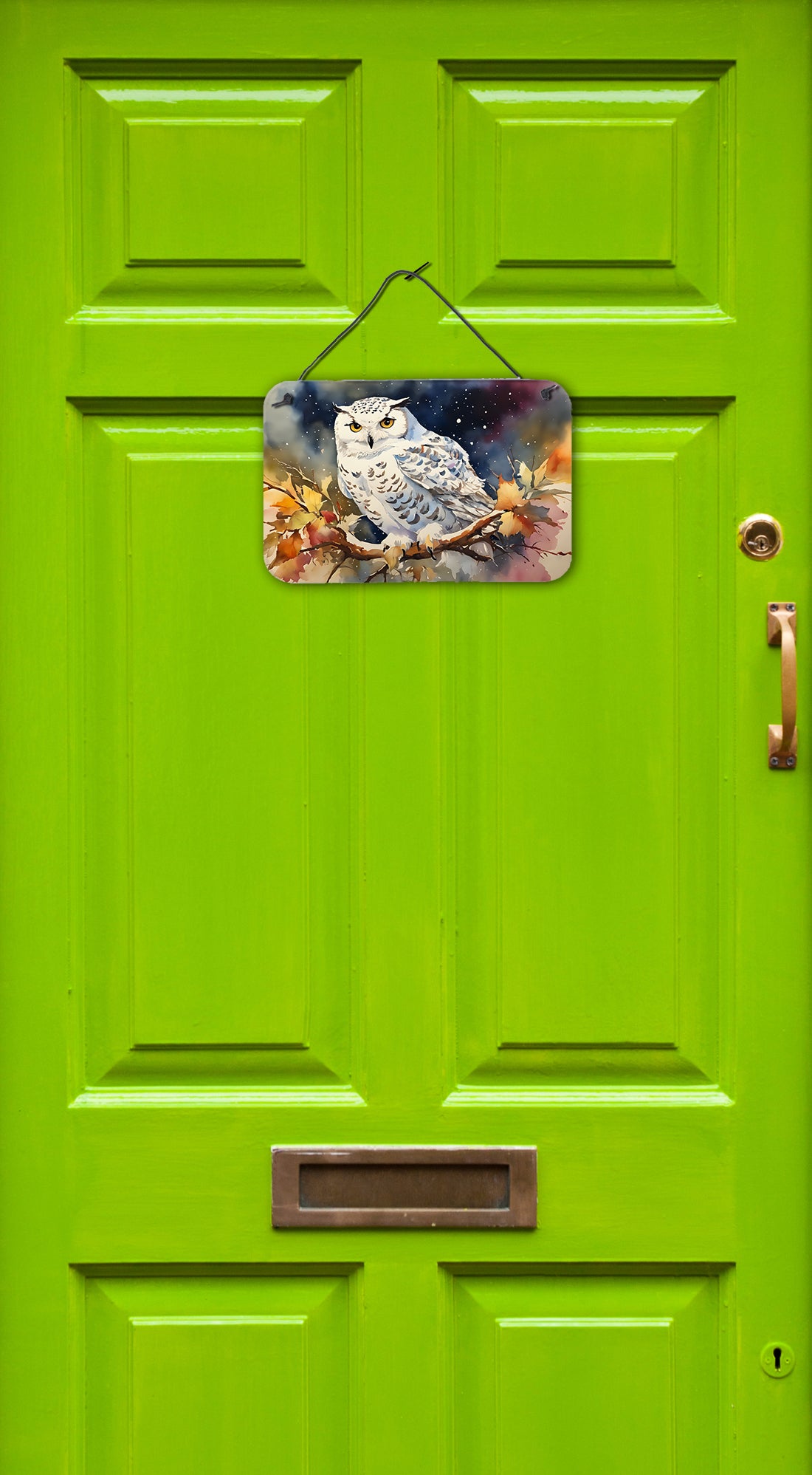 Snowy Owl Wall or Door Hanging Prints