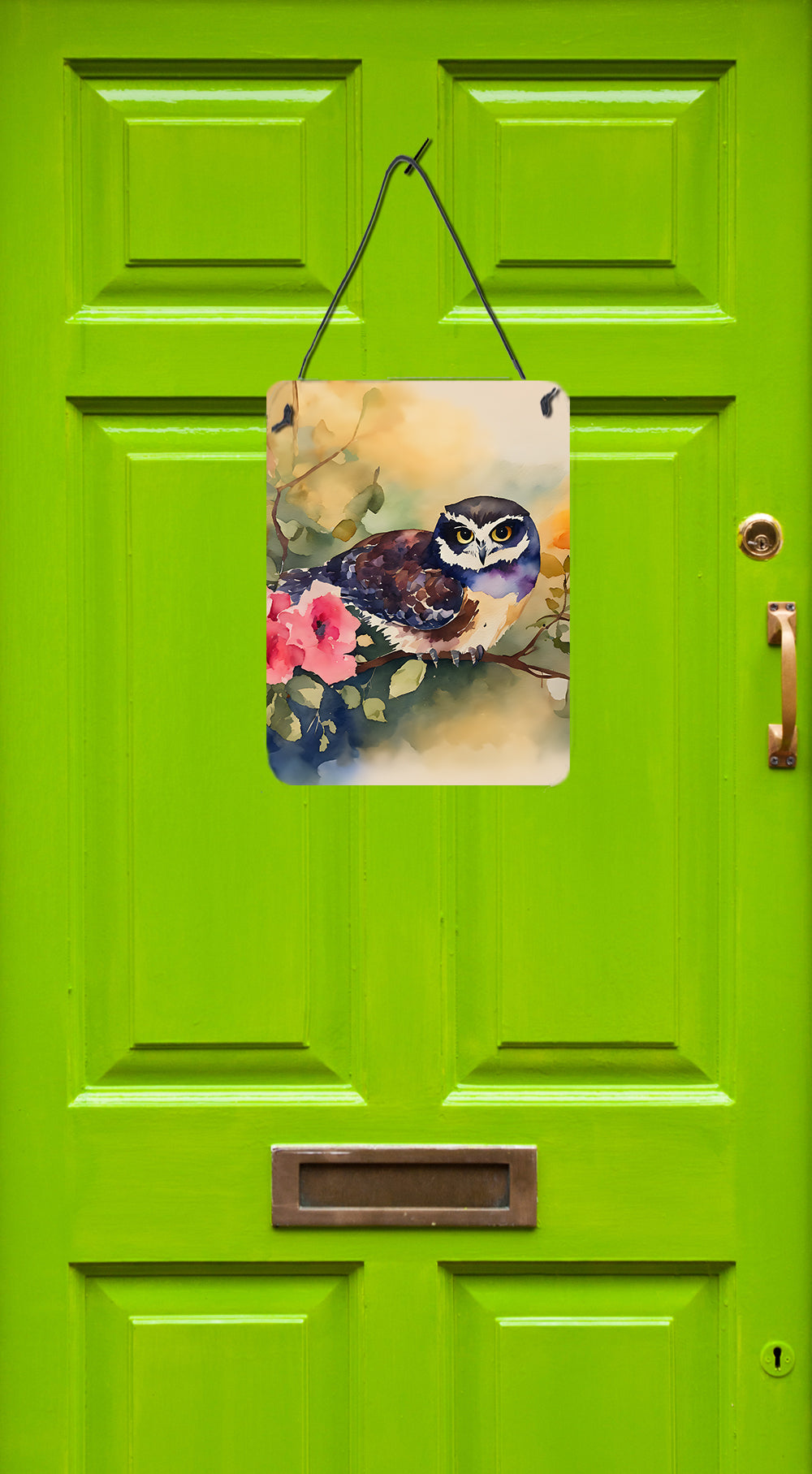 Spectacled Owl Wall or Door Hanging Prints