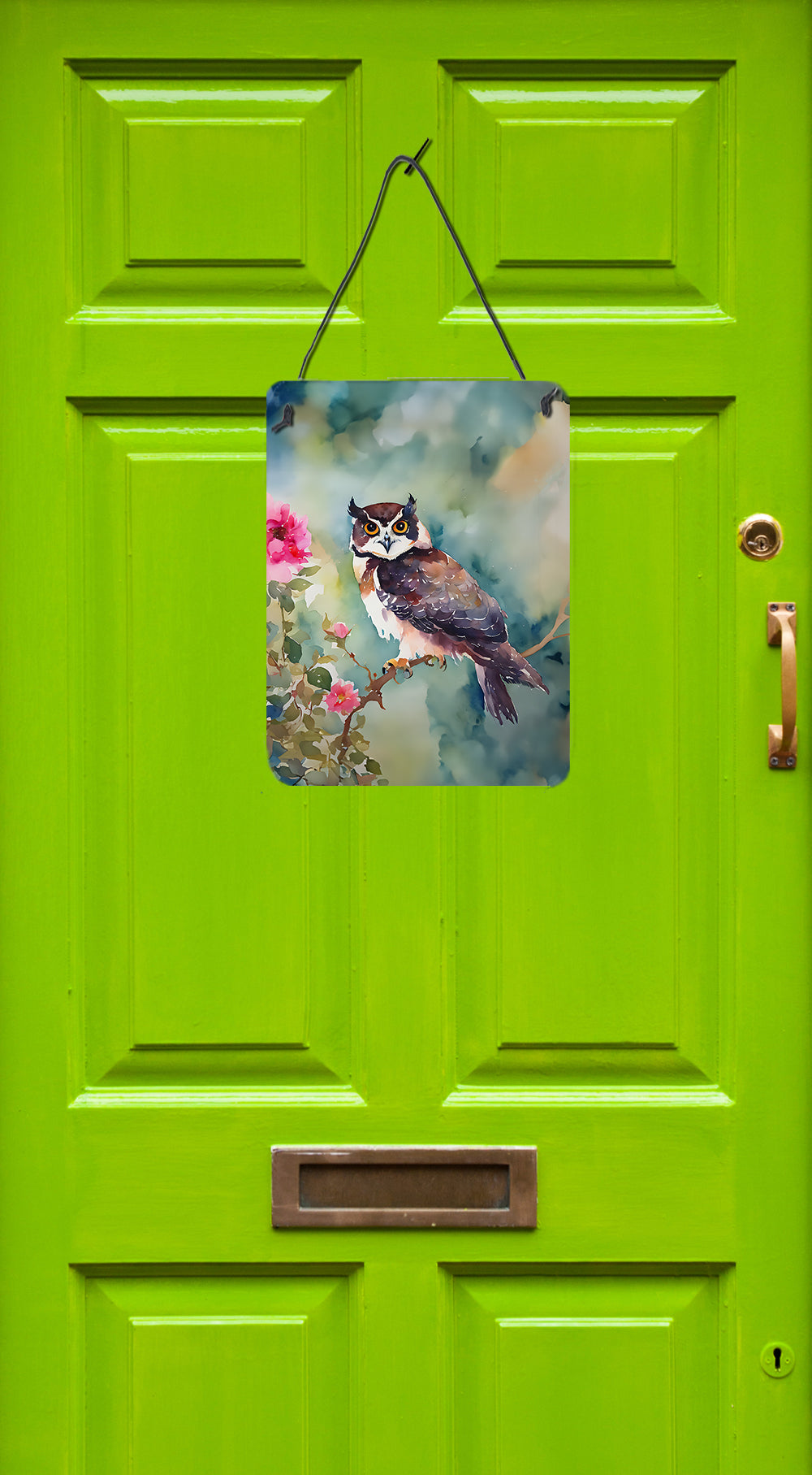 Spectacled Owl Wall or Door Hanging Prints