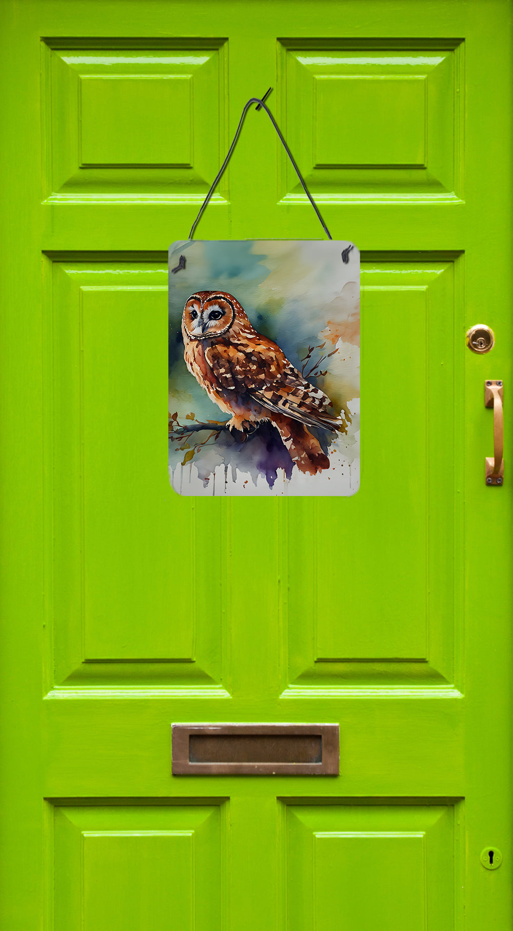 Tawny Owl Wall or Door Hanging Prints