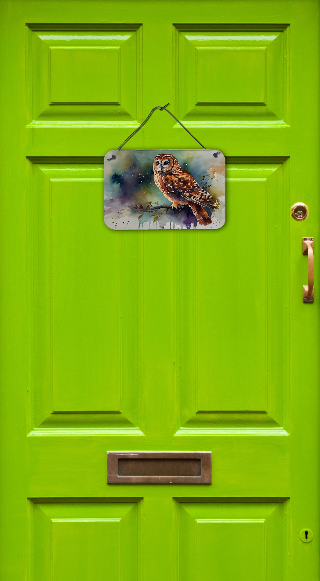 Tawny Owl Wall or Door Hanging Prints