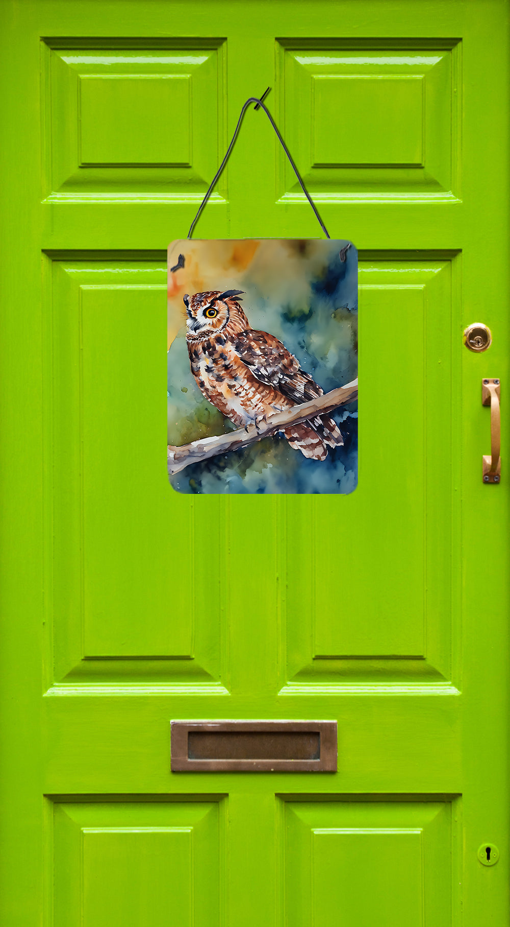 Tawny Owl Wall or Door Hanging Prints