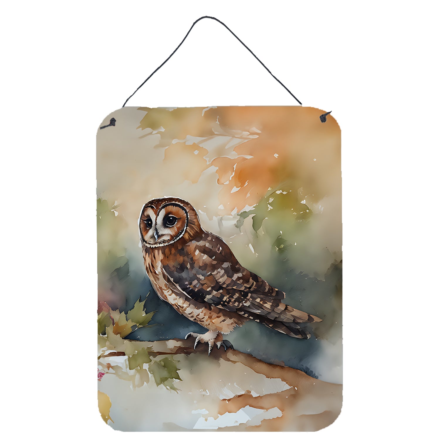 Buy this Tawny Owl Wall or Door Hanging Prints