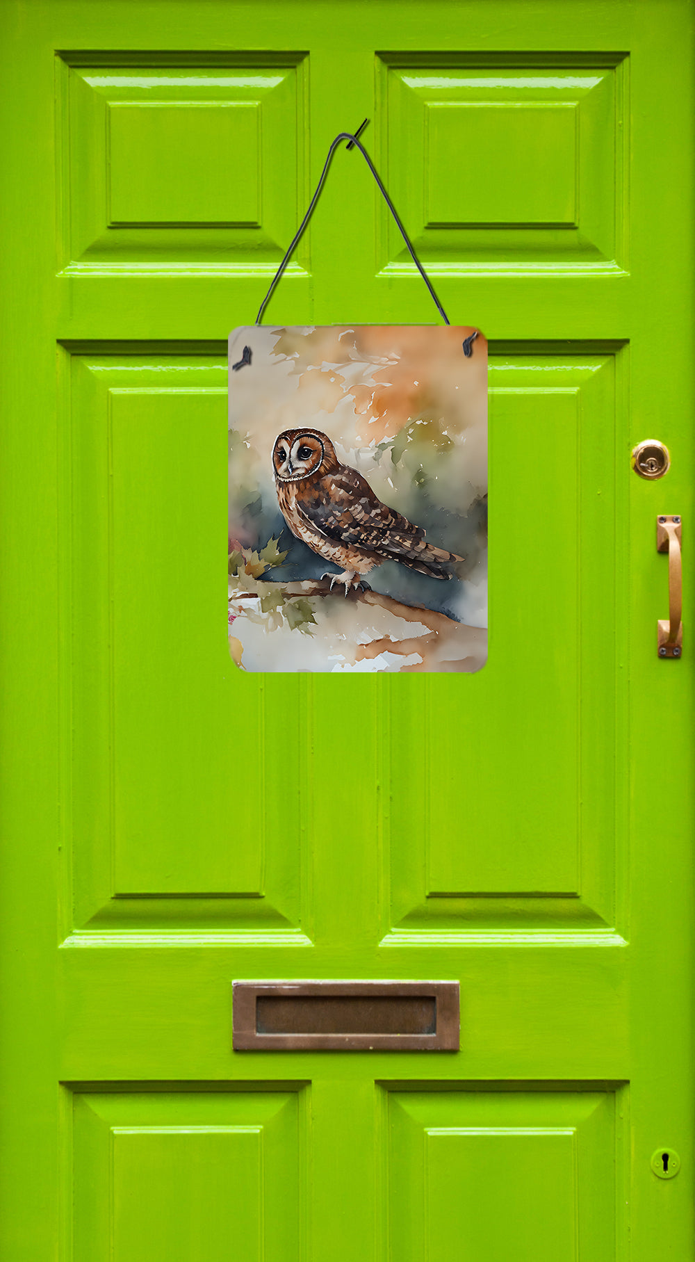 Tawny Owl Wall or Door Hanging Prints