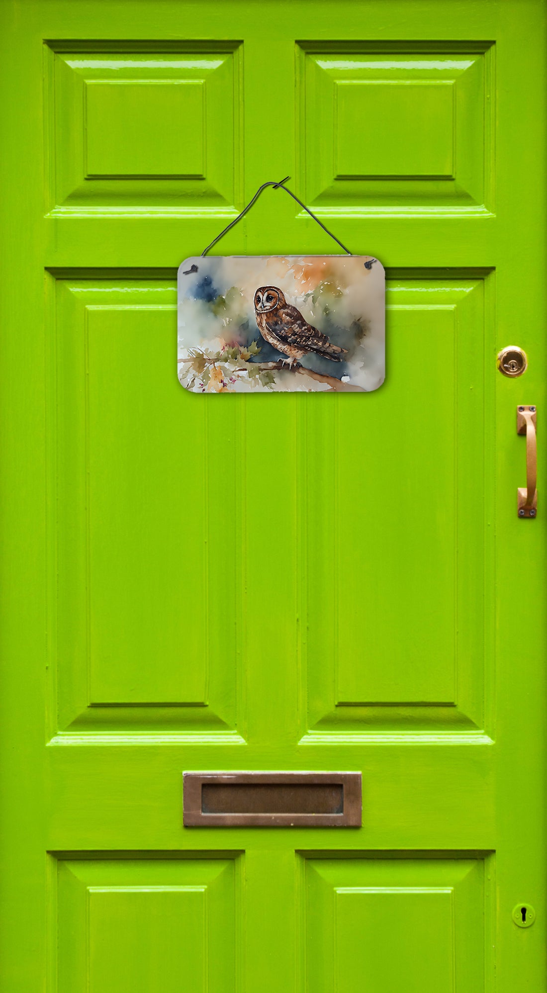 Tawny Owl Wall or Door Hanging Prints