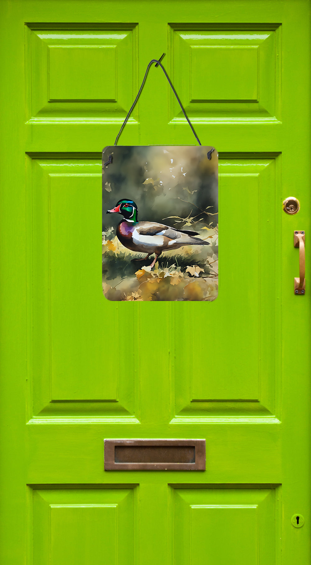 Wood Duck Wall or Door Hanging Prints