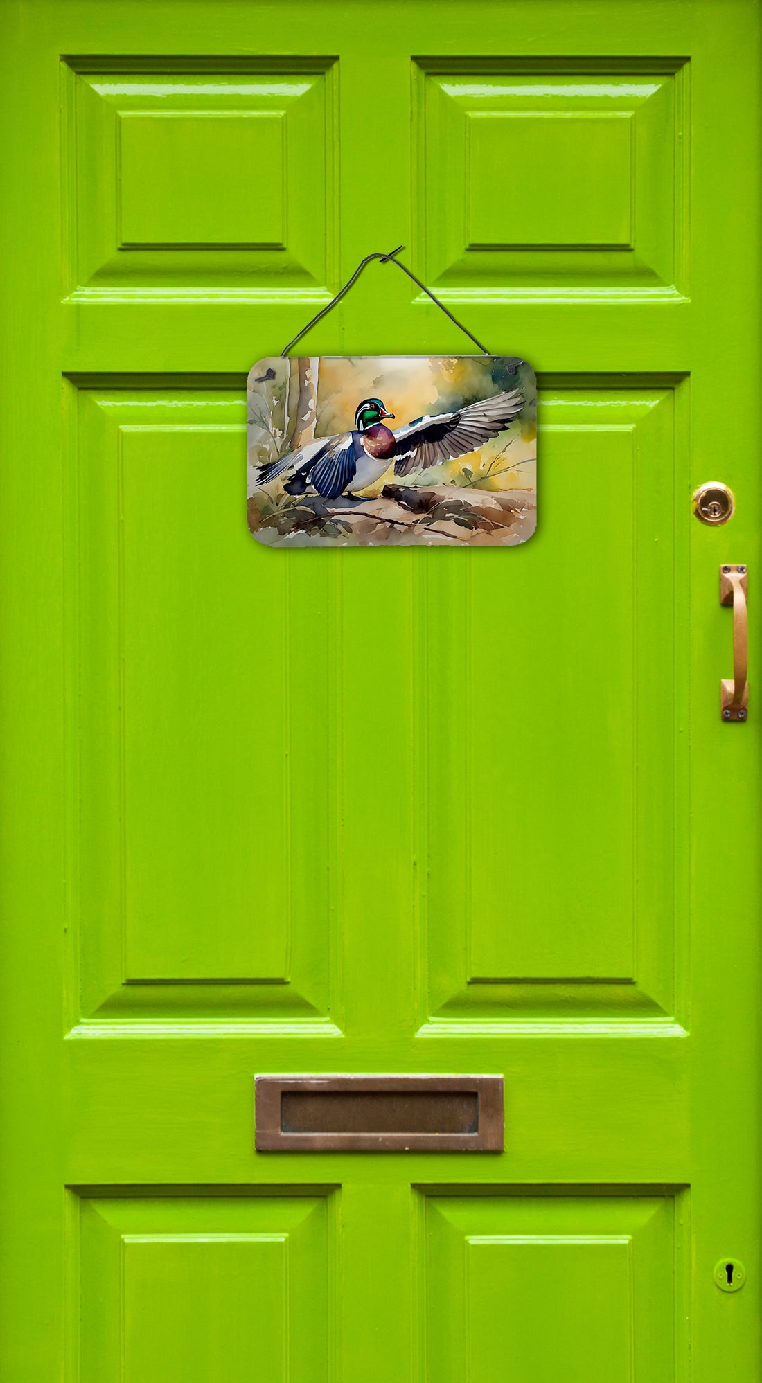 Wood Duck Wall or Door Hanging Prints