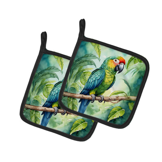 Buy this Amazon Parrot Pair of Pot Holders