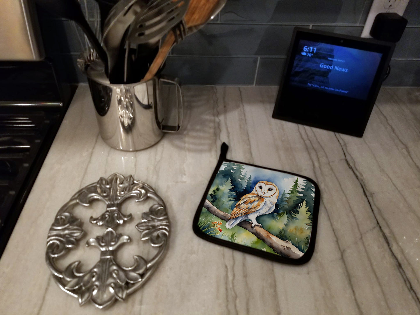 Barn Owl Pair of Pot Holders