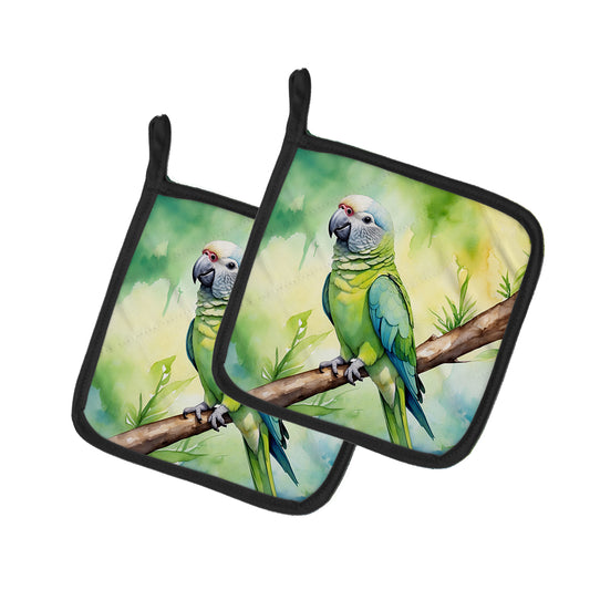 Buy this Monk Parakeet Pair of Pot Holders