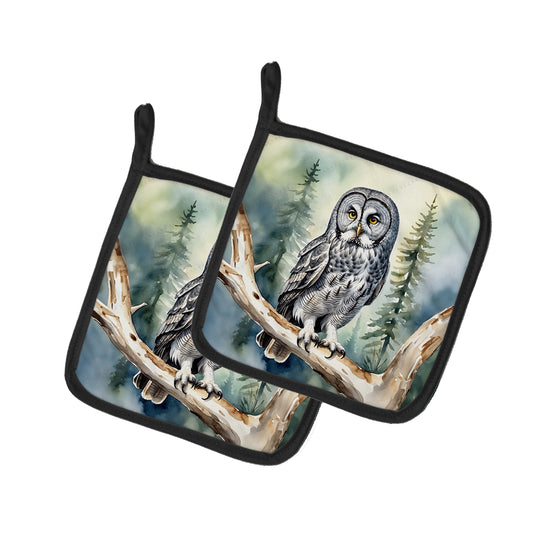 Buy this Great Gray Owl Pair of Pot Holders