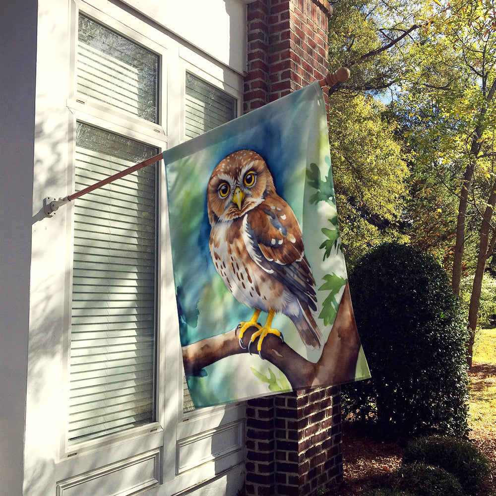 Northern Pygmy Owl House Flag