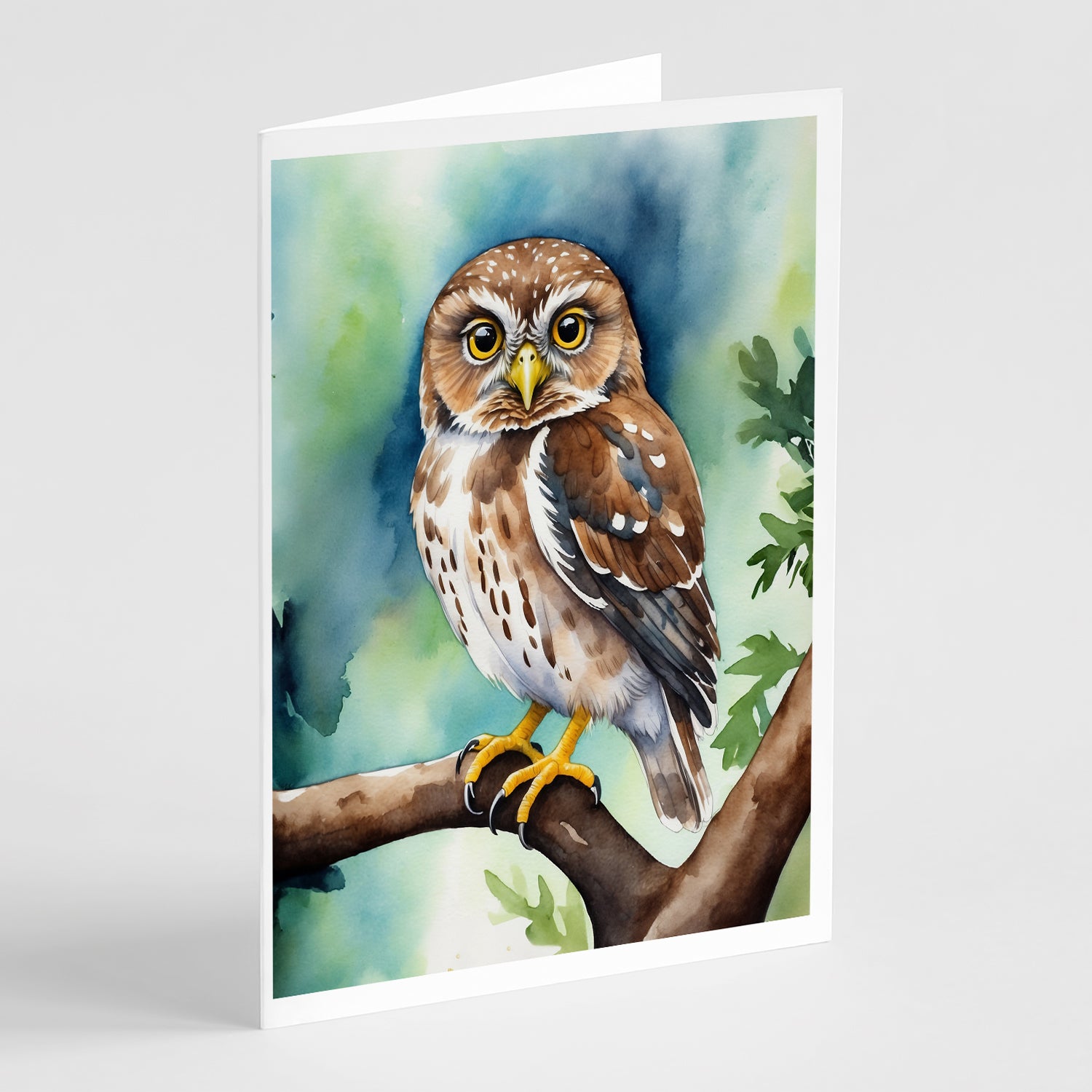 Buy this Northern Pygmy Owl Greeting Cards Pack of 8