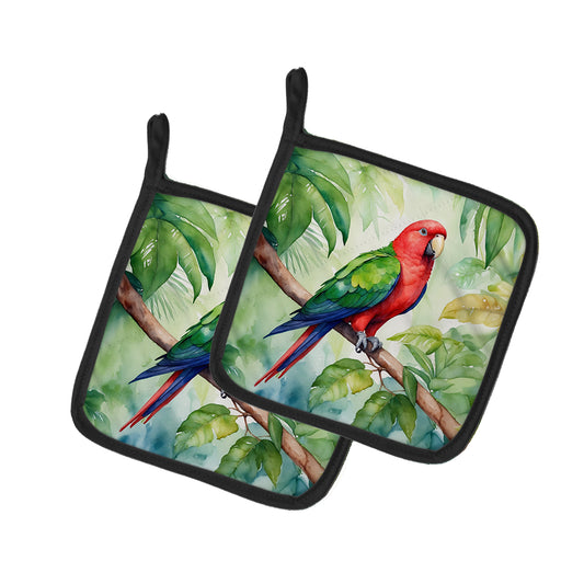 Buy this Eclectus Parrot Pair of Pot Holders